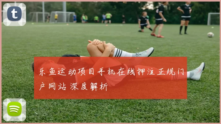乐鱼运动项目手机在线押注正规门户网站 深度解析