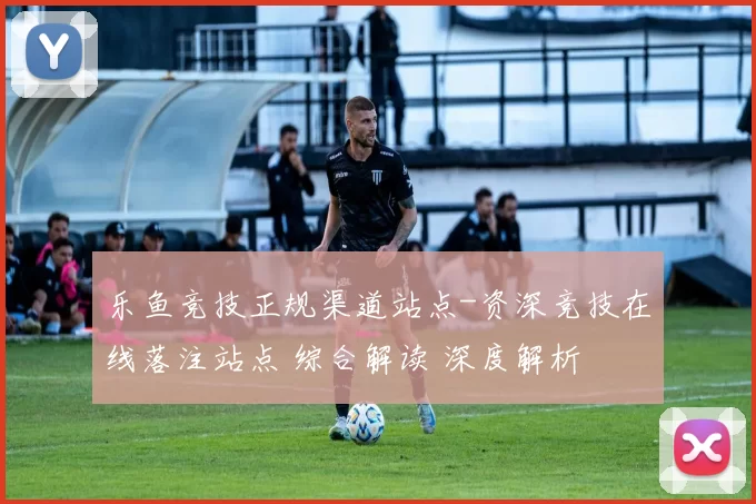 乐鱼竞技正规渠道站点-资深竞技在线落注站点 综合解读 深度解析