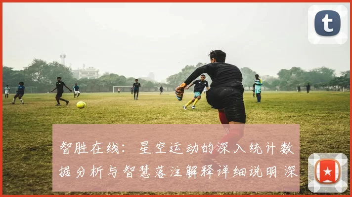 智胜在线：星空运动的深入统计数据分析与智慧落注解释详细说明 深度解析