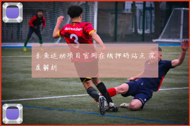 乐鱼运动项目官网在线押码站点 深度解析