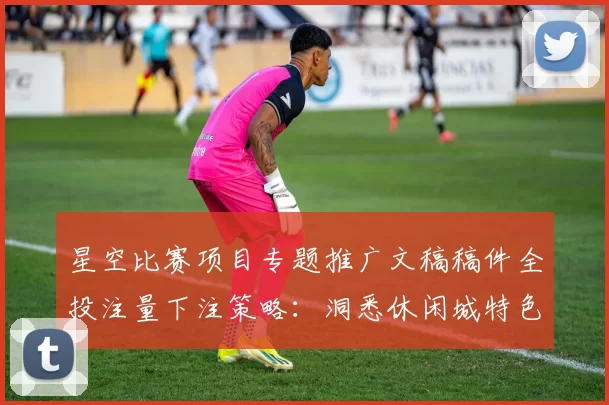 星空比赛项目专题推广文稿稿件全投注量下注策略：洞悉休闲城特色、隐患与明智使用模式体系
