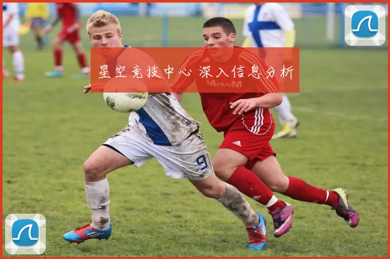 星空竞技中心 深入信息分析