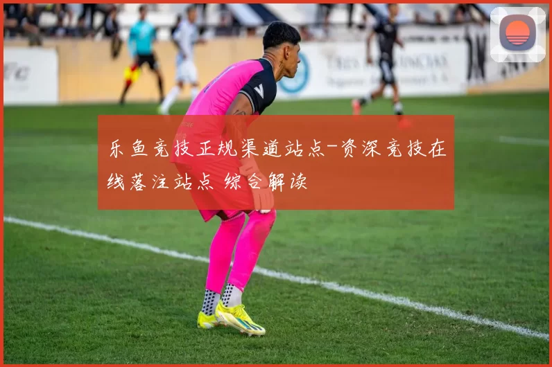 乐鱼竞技正规渠道站点-资深竞技在线落注站点 综合解读