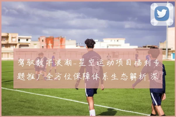 驾驭数字浪潮_星空运动项目福利专题推广全方位保障体系生态解析 深度解析