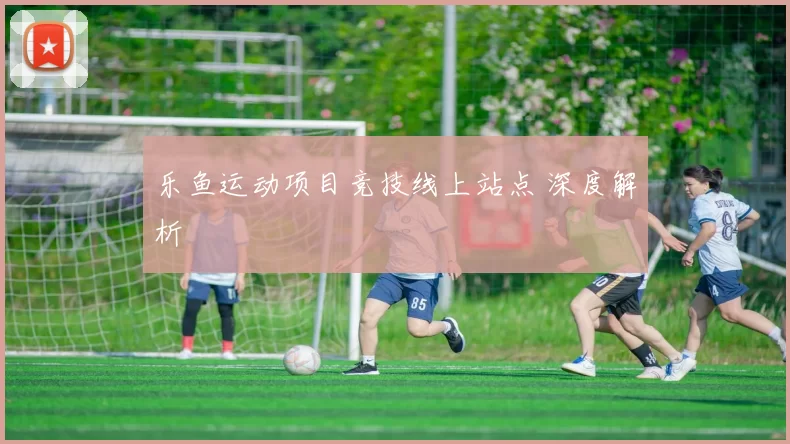 乐鱼运动项目竞技线上站点 深度解析