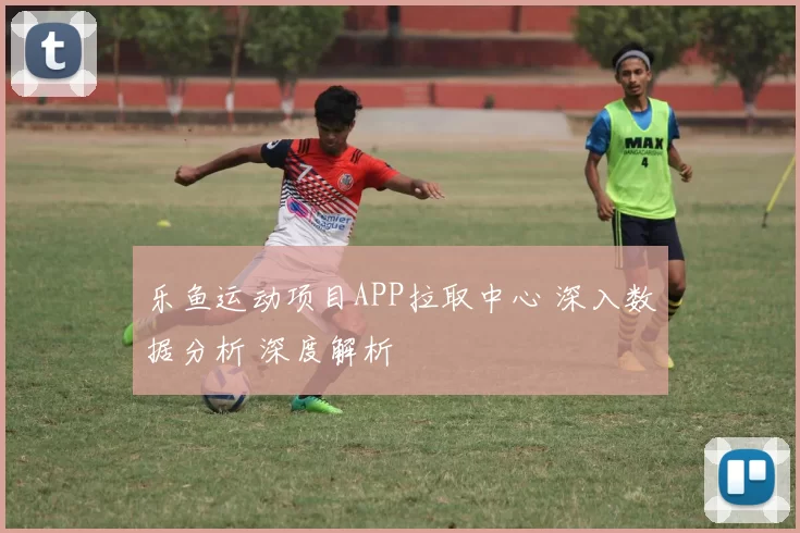 乐鱼运动项目APP拉取中心 深入数据分析 深度解析